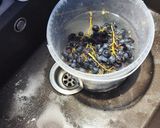 Foto del paso 3 de la receta: Mazamorra Cordobesa de Juan del Toro con Uvas