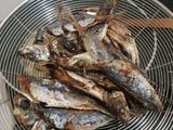Ikan Dencis Cabe Ijo