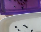 Foto langkah ke 4 dari resep Agar buat campuran es.