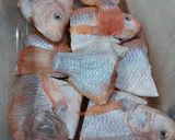 Foto langkah ke 1 dari resep Sup Ikan Nila Kemangi.