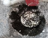 紫薯煎餅的食譜步驟8照片