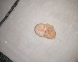 Foto del paso 3 de la receta: Saquitos de gambas