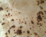 ફૂલકા રોટી (Fulka Roti Recipe In Gujarati) રેસીપી સ્ટેપ2ફોટો