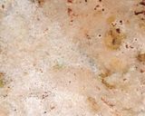 A picture of step 3 of Gobhi ka parantha.