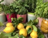Une image de l'étape 1 de Citronnade 🍋fraîcheur d’été 🍃.