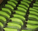 Foto langkah ke 4 dari resep Kue Ulat Daun Bayam (cookies ulat daun).