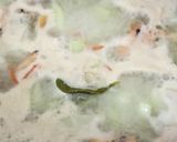 Foto langkah ke 2 dari resep Sayur labu Siam santan kaldu udang.