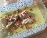 Foto langkah ke 5 dari resep Opor Ayam.
