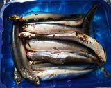 Foto del paso 1 de la receta: Anchoas en salazón