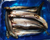 Foto del paso 1 de la receta: Anchoas en salazón