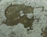 A picture of step 1 of Fried Modak.
