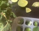 Une image de l'étape 3 de 🍋🍸Virgin 🐞🌿🍡🧋Mojito cocktail 🍹🌱.