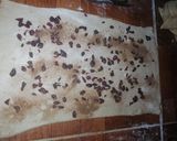 Foto del paso 6 de la receta: Roles de canela y arándanos
