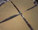 Foto del paso 5 de la receta: Medialunas copadas!