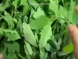 बथुआ का रायता बूंदी बाला (bathua ka raita boondi wala recipe in Hindi)