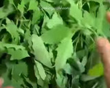 बथुआ का रायता बूंदी बाला (bathua ka raita boondi wala recipe in Hindi) रेसिपी चरण 1 फोटो
