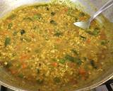 Oats Bisi Bele Baath recipe step 9 photo