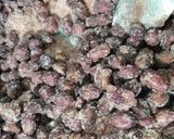 Foto del paso 3 de la receta: Garrapiñadas