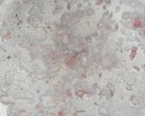 Hình bước làm 5 của món Tôm xào súp lơ và nấm