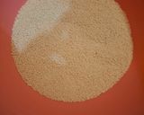 Foto del passaggio 4 della ricetta CousCous Semplice con Verdure e Gamberetti