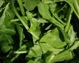 पालक सरसों का साग(palak sarson ka saag recipe in Hindi) रेसिपी चरण 1 फोटो