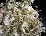 सहजन फूल की सब्जी (Sehjan phool ki sabji recipe in Hindi) रेसिपी चरण 1 फोटो
