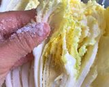 Hình bước làm 1 của món Kim Chi Cải Thảo Hàn Quốc (Không có mắm tép và cá khô) - Korean Tongbeachu Kimchi