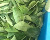 Gambar langkah 1 resipi Sayur cangkuk @ pucuk manis& rebung tumis udang😋.