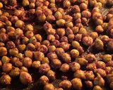 عکس مرحله 4 از دستور نخود برشته با ادویه مدیترانه ای