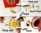 Nerikiri Wagashi: "菖蒲 Shobu （Iris）" recipe step 3 photo