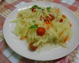 涼拌木瓜絲的食譜步驟6照片