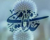 عکس مرحله 7 از دستور شیرینی نارگیلی خوشمزه 😃😋