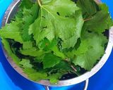 Foto del paso 2 de la receta: Hojas de Parra rellenas de carne picada con menta y cítricos