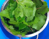 Foto del paso 2 de la receta: Hojas de Parra rellenas de carne picada con menta y cítricos