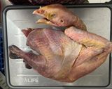 Foto langkah ke 1 dari resep 74. Opor Ayam Telur.
