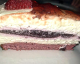 Foto del paso 5 de la receta: Tarta Mousse de Queso con gelatina de Frutos rojos