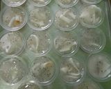 Foto langkah ke 1 dari resep Agar² Kelapa.