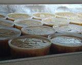 Foto langkah ke 5 dari resep Agar-Agar Santan Gula Merah dan Coco.