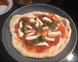 A picture of step 5 of Neapolitan pizza (including the dough).