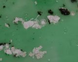 Foto langkah ke 1 dari resep Cendol Kecebong.