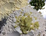 A picture of step 2 of Methi Muthiya.