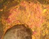 Foto langkah ke 3 dari resep Usus Ayam Bumbu Ala Angkringan.