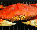 A picture of step 9 of Mike's Poseidon Platter With Dungeness Crab Side Salad.