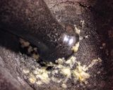 Foto del paso 2 de la receta: Tzatziki