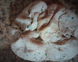Foto del paso 7 de la receta: Pan con masa madre, alga espirulina, perejil, ajo y queso