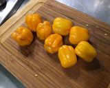 Une image de l'étape 2 de Sauces aux trois piments, coriandre et radis noir.