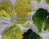 A picture of step 3 of Savoy Cabbage Rolls.