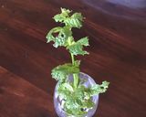 A picture of step 2 of California Farm Chocolate Mint Ice Cream.
