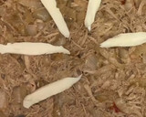 Foto del paso 7 de la receta: Masa de tarta saludable sin harinas refinadas 🌱 🥧