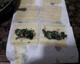 Foto del paso 3 de la receta: Canelones de espinacas, atún y gambas